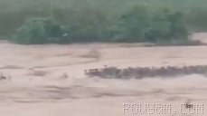 👈 Flooding hits a “killer cobra” breeding farm in China; about 900 snakes escaped their enclosures and attacked local residents. The count…