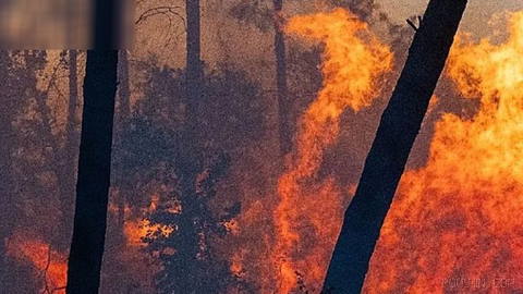 Spain has declared a national emergency as wildfires threaten the Madrid