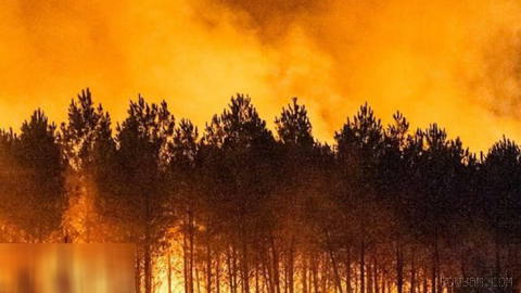 French authorities have ordered the evacuation of nearly another 60,000 people in areas around the city of Bordeaux.