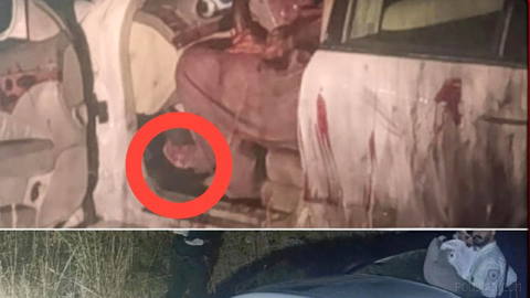 Today in Sanandaj, a young man who was a Mercedes driver is attacked by several people and they completely cut off his hand from the elbow and…