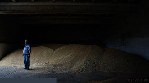 'We will sow' — Odesa farmers defiant in face of relentless Russian
