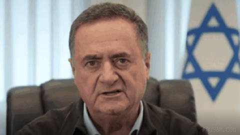 Israeli Defense Minister Yisrael Katz said the Israeli army is ready, if ordered, to complete the destruction of Hamas