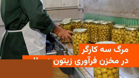 🔸سه کارگر یک واحد فرآوری زیتون در بخش گیلوان شهرستان طارم بر اثر حادثه