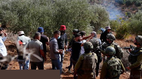 Palestinian Foreign Ministry says Israeli attacks on olive harvesters in