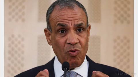 Egypt’s foreign minister said his country is ready to provide any kind of help to Saudi Arabia in its battle against the Houthis in Yemen.