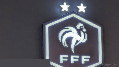 French Football Federation ethics body urges fans to avoid political
