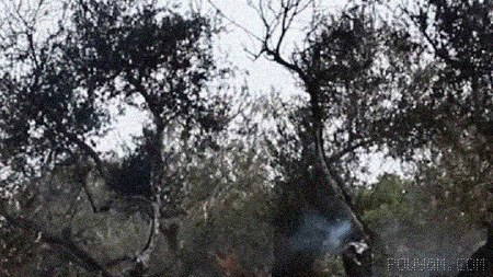 At least 14 Palestinians and 2 foreign journalists injured in Israeli