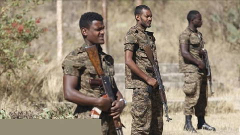 🚨 Tigray rebels claim to have killed more than 1,500 Ethiopian soldiers