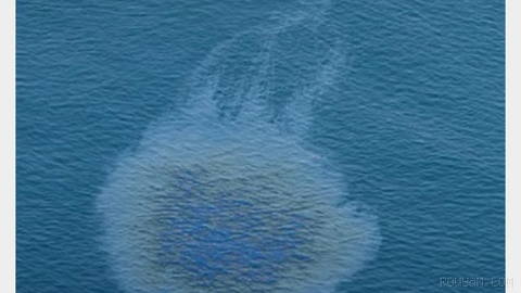 United Arab Emirates shuts all shores and coastal areas of Umm Al-Quwain temporarily after oil spill from a tanker