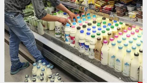 The CEO of the Dairy Cooperatives Union of Iran says that the annual per-capita consumption of dairy products has fallen
