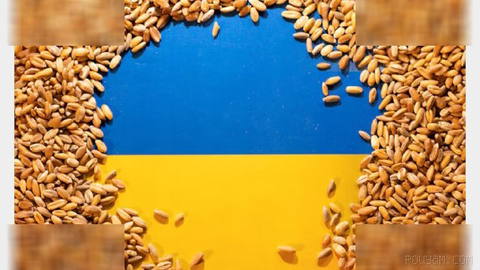 Wheat prices, showing signs of Russia’s continued commitment to its war in Ukraine, recorded the biggest increase in more than a week.