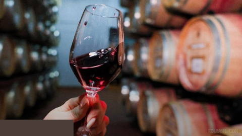 تولید شراب در فرانسه ممکن است به دلیل خشکسالی تا پایین‌ترین سطح ۷۰ سال اخیر کاهش یابد