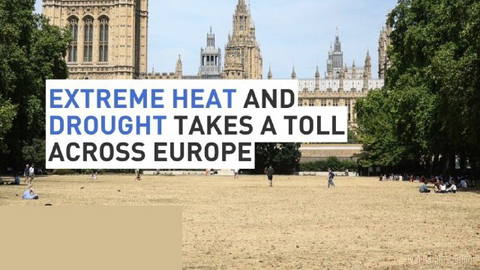 Extreme heat and drought takes a toll across Europe