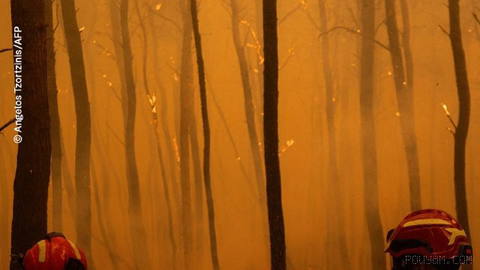 🔸$22 billion in damages following forest fires in Europe