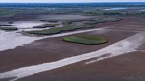 EU countries must submit their draft nature restoration plans by 1