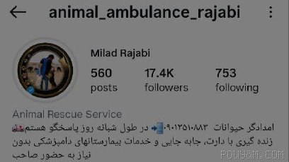 Update on the work page of the killer “Javid” named Hamidreza Rouhi