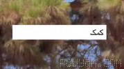 ⏺دم این داداش‌مون گرم هم کمک رسوند و هم فرهنگ‌سازی کرد؛