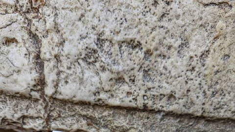 The Wailing Wall is a historic point of connection between the Iranian and Jewish peoples.