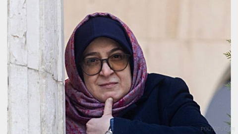 سخنگوی دولت جمهوری اسلامی ادعا کرد که یک «هواپیمای نو که خریداری شده