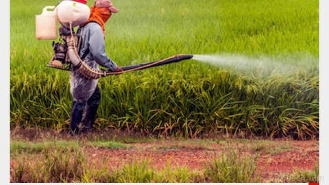 Ilna news agency reports the spread of cancer among Iranian agricultural workers due to “substandard pesticides.”