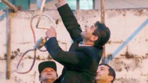 Nearly 100 prominent figures, including dozens of artists and film and television figures, summoned in response to a wave of new executions in Iran