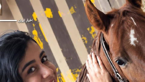 “Human Rights for Sport” organization, in an open letter to the International Equestrian Federation and the Asian Equestrian Federation, raised concerns about the situation of “Taraneh Rahimi”...