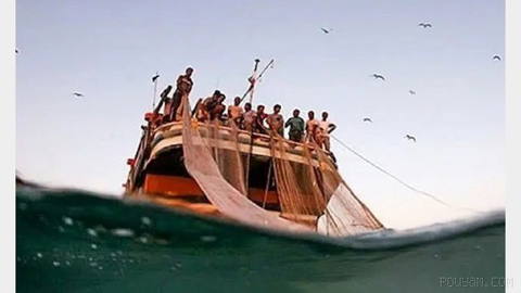 A representative of the Islamic Republic of Iran’s Ministry of Foreign Affairs in Hormozgan claims that the United Arab Emirates