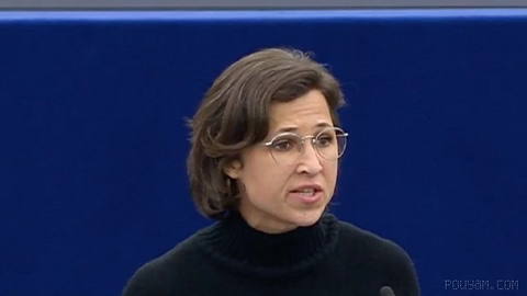 Hanna Neumann, an MP of Germany’s Green Party in the European Parliament, on the social network X