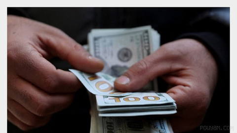 نرخ دلار در بازار آزاد تهران در ساعات نخست معاملات امروز از مرز ۲۴۰ هزار