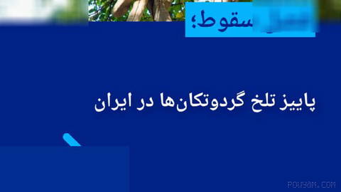 📸 فصل سقوط؛ پاییز تلخ گردوتکان‌ها در ایران