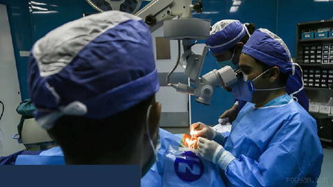 Iran among world’s top five in eye stem cell transplants, says