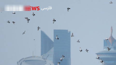 🔻هم‌زمان با گزارش‌ها از ادامه مذاکرات نمایندگان ایران و میانجی‌های قطر