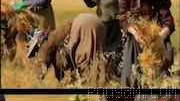این ویدیو که در شبکه‌های اجتماعی منتشر شده حضور گسترده زنان در مزارع را نشان می‌دهد. یک شهروند خبرنگار از افزایش حضور زن…