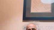 محسن نامجو، خواننده و آهنگساز، با انتشار این ویدیو از بازگشت خود به ایران پس از حدود ۲۰ سال خبر داد. او گفت در این مقطع …