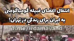 تمام اعضای قبیله گومباگومبی زیمبابوه (بیش از ۷۰ نفر) که در سفر ابرام سوخاری به این کشور با پرداخت نقدی ۱۰۰ هزار دلار به …