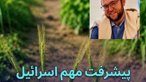 یک پیشرفت علمی اسرائیل ممکن است آینده امنیت غذایی جهانی را تغییر دهد و به تغذیه جهان در آینده کمک کند. 🌾