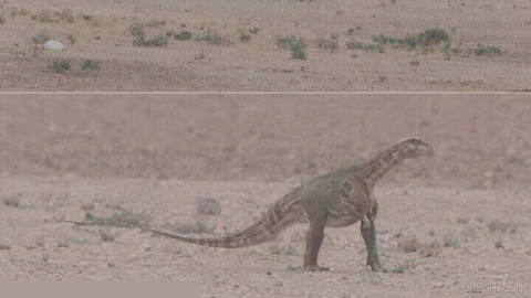 Regarding the story of the Khorasan dinosaur, the Friday imam of Mashhad will likely say tomorrow: “This dinosaur is among the blessings of the system and a sign of our steadfastness from the age of Tyrannosaurus to now!”