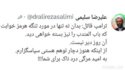 سلیمی: نماینده مجلس می‌گوید تنگه باب‌المندب به زودی بسته می‌شود