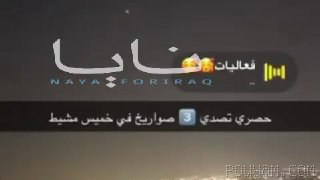 Footage of missiles firing over Abha is released