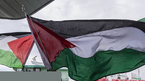 📢 Cinema, culture figures urge Venice Film Festival to fly Palestinian