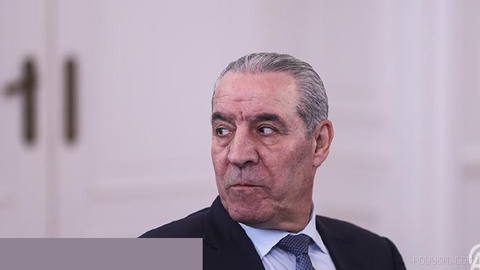 🗳 Palestinian vice president pledges earlier presidential and