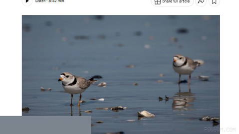 The New York Times: The Trump administration limited the definition of “harm” in the Endangered Species Act, which changes how federal protections are applied to endangered species and their habitats…