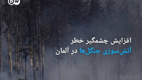 🔶 افزایش چشمگیر خطر آتش‌سوزی جنگل‌ها در آلمان
