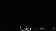 Fars: An unknown bird, after being hit in the sky over Qeshm Island, is falling.