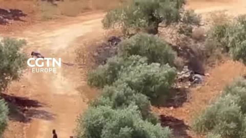 Israeli Prime Minister Benjamin Netanyahu has ordered the dismantling of