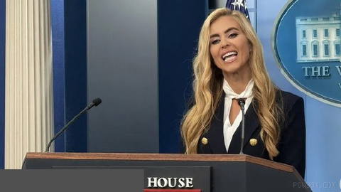 US President Donald Trump's new White House press secretary, Katie