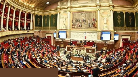 French Senate passes 'rioters-pay' bill holding protesters liable for