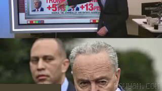 Official report: The Democratic Party’s popularity has fallen by 25 points compared with the 2018 midterm elections