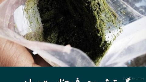 مصطفی محمدپور، رییس‌ اداره بهزیستی کاشمر، از رواج مصرف ماده‌‌ای موسوم به «ناس» میان دانش‌آموزان، حتی در دوره دوم ابتدایی…
