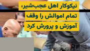 Ferej Fayzi, a philanthropist from Aghjehshir, with a formal contract signature, endowed all his assets worth approximately 140 billion tomans in memory of his late mother